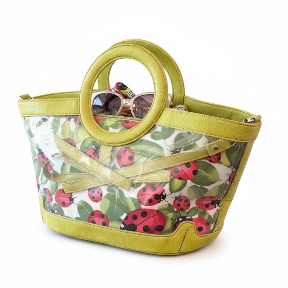 Vintage Transparent Bag with Ladybug Insert